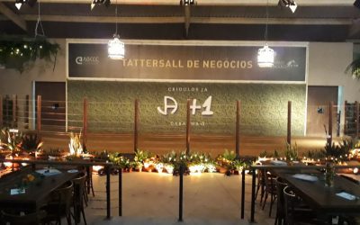 O backdrop e sua utilização para cenários e palcos 