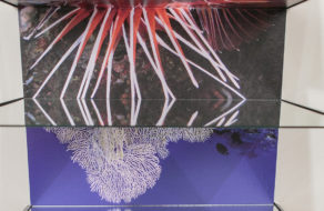 Tecnologia para Arte