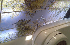 Tornando um Hospital mais Acolhedor