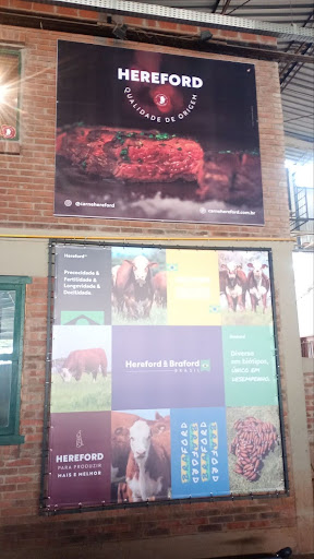 comunicação visual eventos