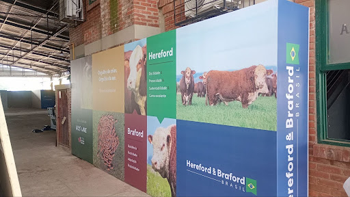 comunicação visual eventos