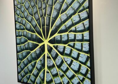 Sinalização para consultórios e clínicas médicas